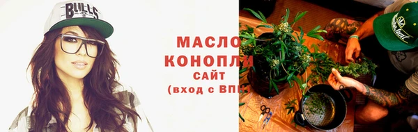 дмт Бородино