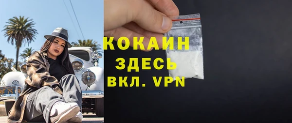 дмт Бородино