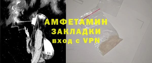 дмт Бородино