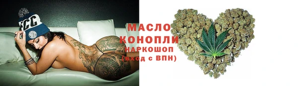 дмт Бородино