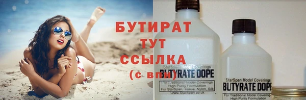 дмт Бородино