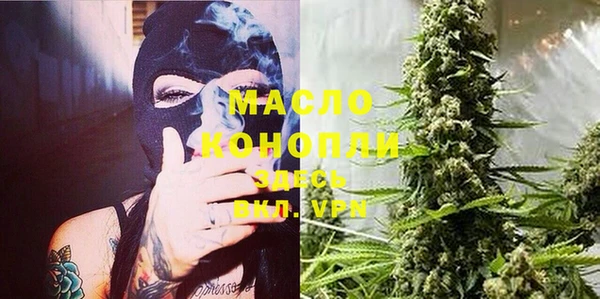 дмт Бородино