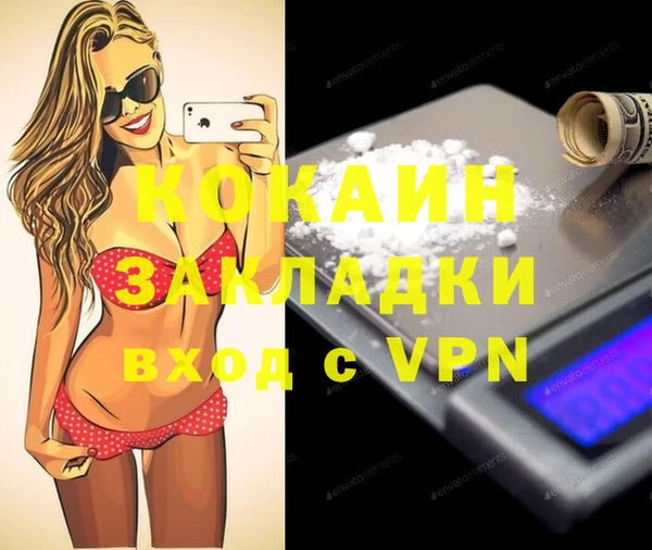 дмт Бородино