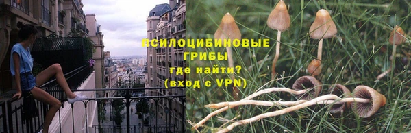 дживик Бронницы