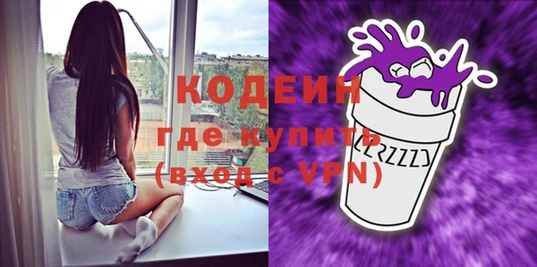 дживик Бронницы
