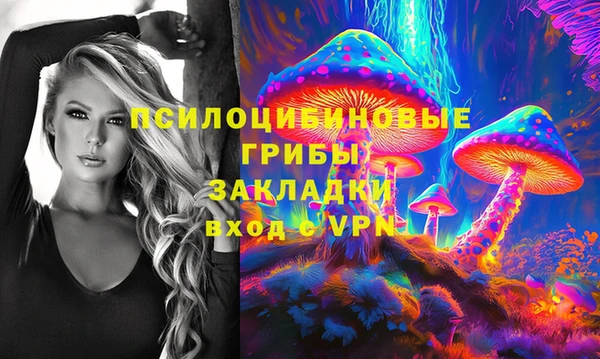 дживик Бронницы