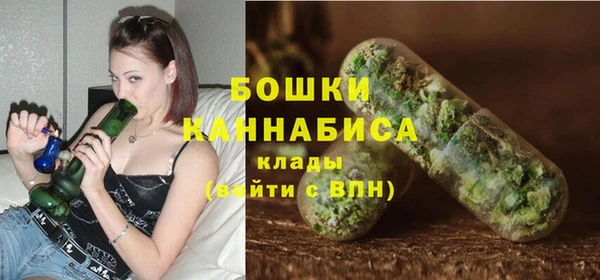 дмт Бородино