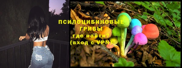 дмт Бородино