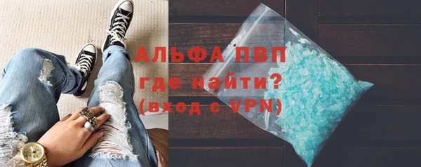 дмт Бородино