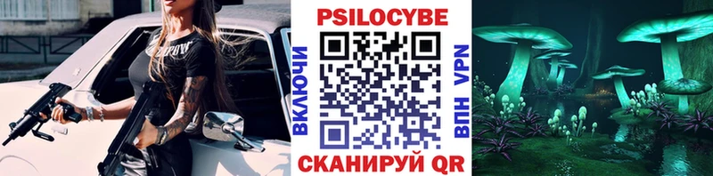 ссылка на мегу   купить наркоту  Кирсанов  Псилоцибиновые грибы MAGIC MUSHROOMS 